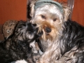 freddy (3)