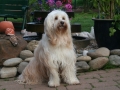 gundi2012