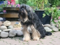 luise2012