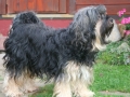 luise2012_2