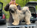 IMG-20220428-WA0008