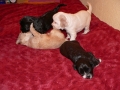 k_b_4w1