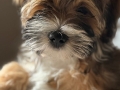 Trudi_3M