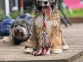 Trudi_3M_1